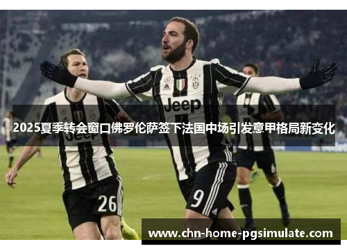 2025夏季转会窗口佛罗伦萨签下法国中场引发意甲格局新变化 2025夏季转会窗口佛罗伦萨签下法国中场引发意甲格局新变化