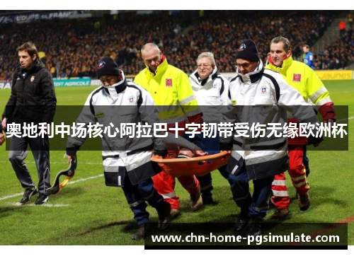 奥地利中场核心阿拉巴十字韧带受伤无缘欧洲杯 奥地利中场核心阿拉巴十字韧带受伤无缘欧洲杯