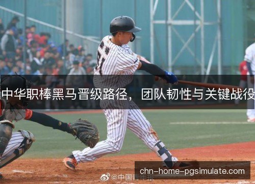 中华职棒黑马晋级路径，团队韧性与关键战役